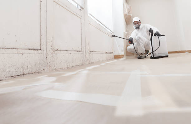 24/7 Emergency Mold Remediation experts in Lexington, IL