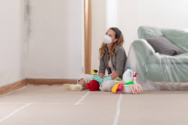 Reliable Mold Remediation contractor in Lexington, IL by Cheap Mold Removal